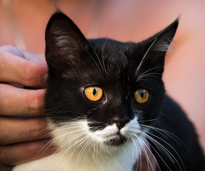 Similar image 22027186