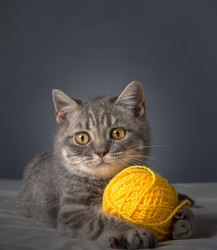 Similar image 22027187