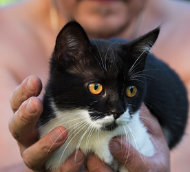 Similar image 22027188