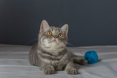 Similar image 22027189