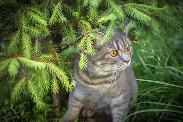 Similar image 22027190