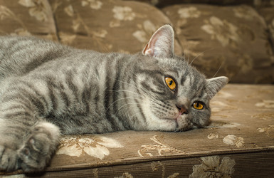 Similar image 22027191