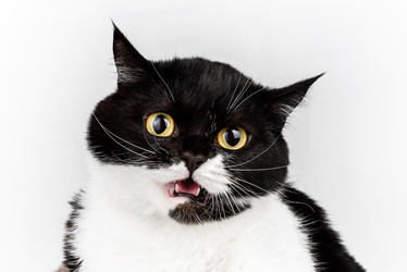 Similar image 22027192