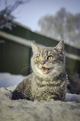 Similar image 22027193