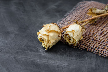 Similar image 22027194