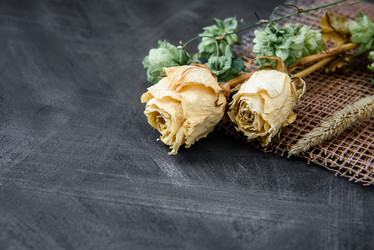 Similar image 22027195