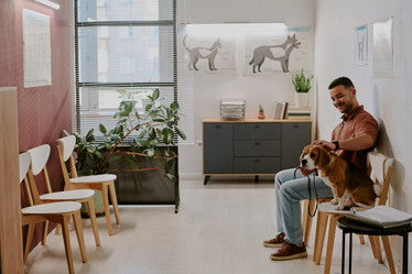 Similar image 22036188