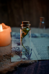 Similar image 22025063