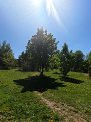 Similar image 22025082