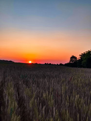 Similar image 22037038