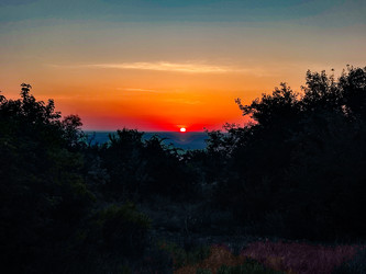 Similar image 22037039