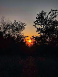 Similar image 22037040