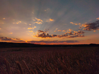 Similar image 22037043