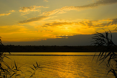 Similar image 22037051