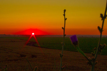 Similar image 22037052