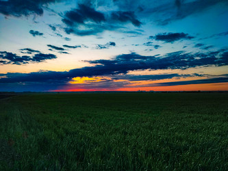 Similar image 22037059