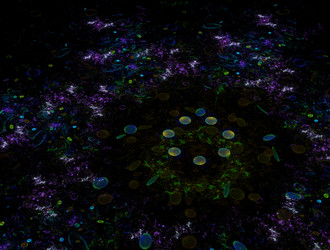 Similar image 22023738