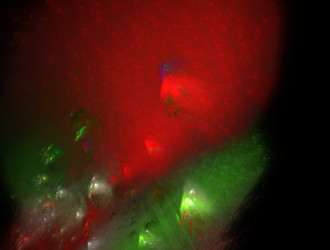 Similar image 22021904