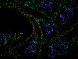 Similar image 22022041