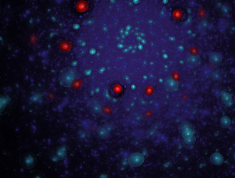 Similar image 22019982