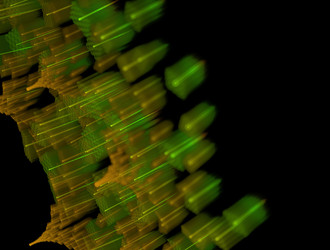 Similar image 22023758