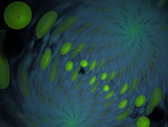 Similar image 22021491