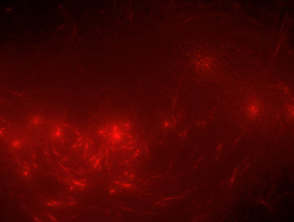 Similar image 22022050