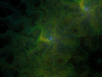 Similar image 22020278