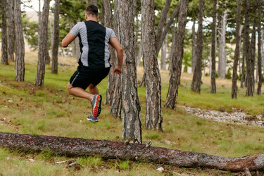 Similar image 22029908