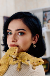 Similar image 22039499