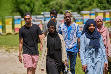 Similar image 22039142