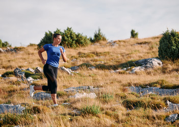 Similar image 22029769