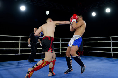 Similar image 22032300