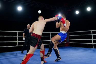 Similar image 22030283