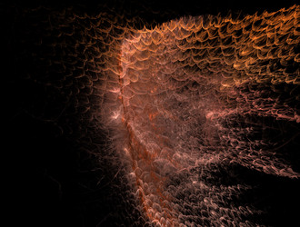 Similar image 22022769