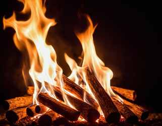 Similar image 22025846