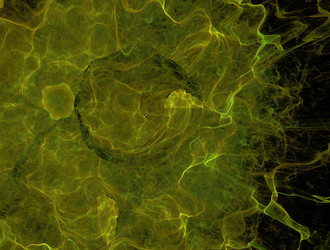 Similar image 22020304