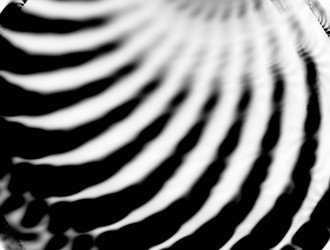 Similar image 22020700