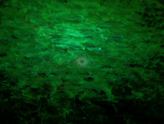 Similar image 22021171