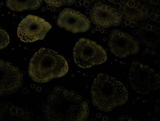 Similar image 22020181