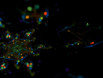 Similar image 22021193