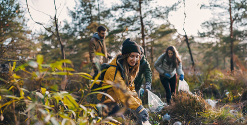 Similar image 22039739