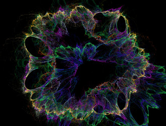 Similar image 22023828