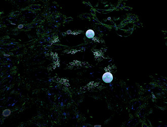 Similar image 22020022