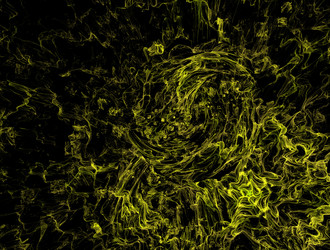 Similar image 22021530