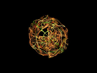 Similar image 22020749