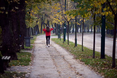 Similar image 22038759