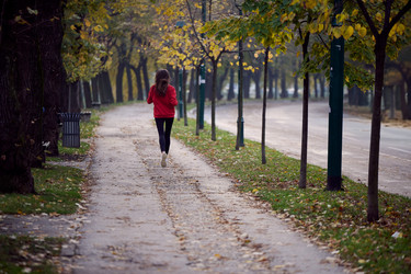 Similar image 22038761