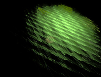 Similar image 22022072