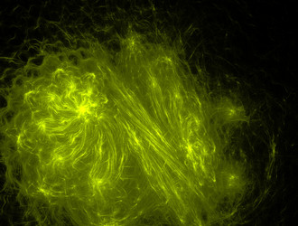 Similar image 22020759